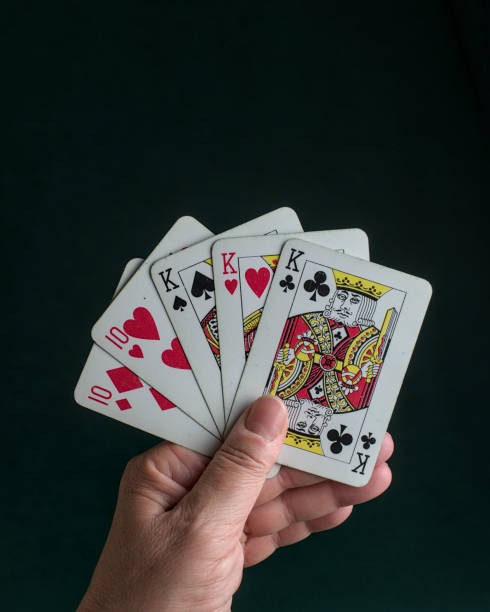 ratutogel login Focused Match Choices